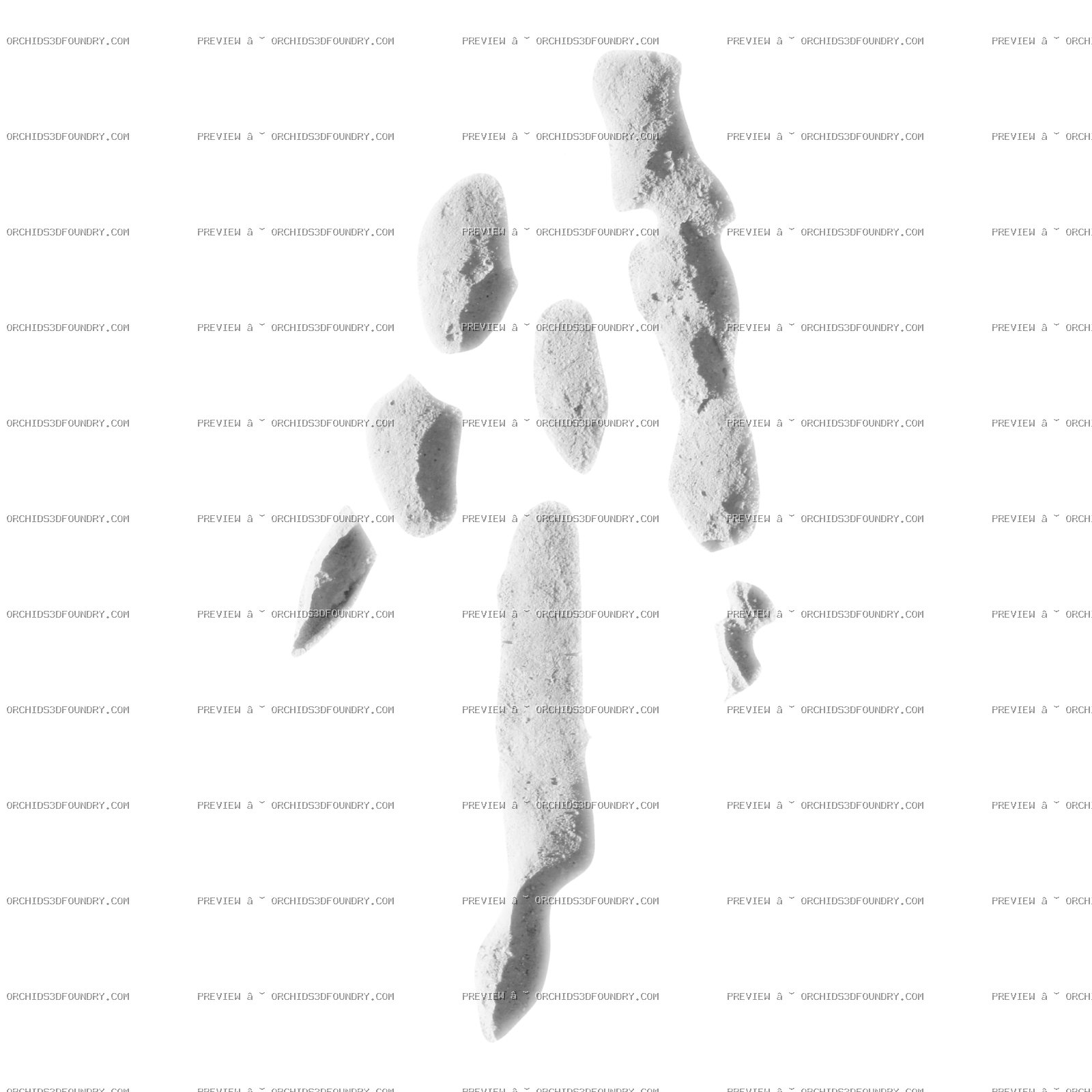 Dino Foot Decal