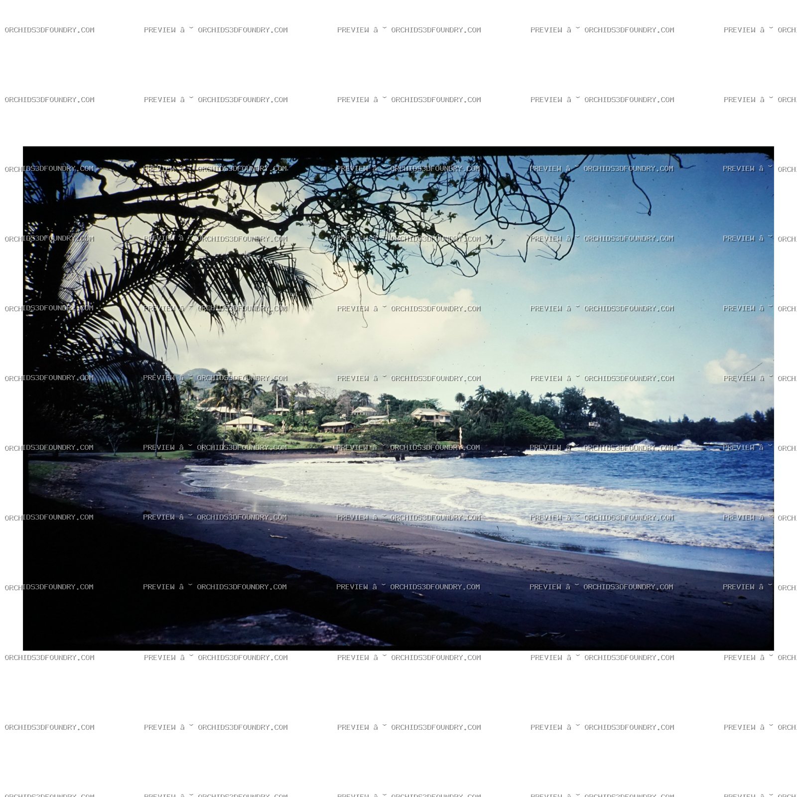 Beach Photograph