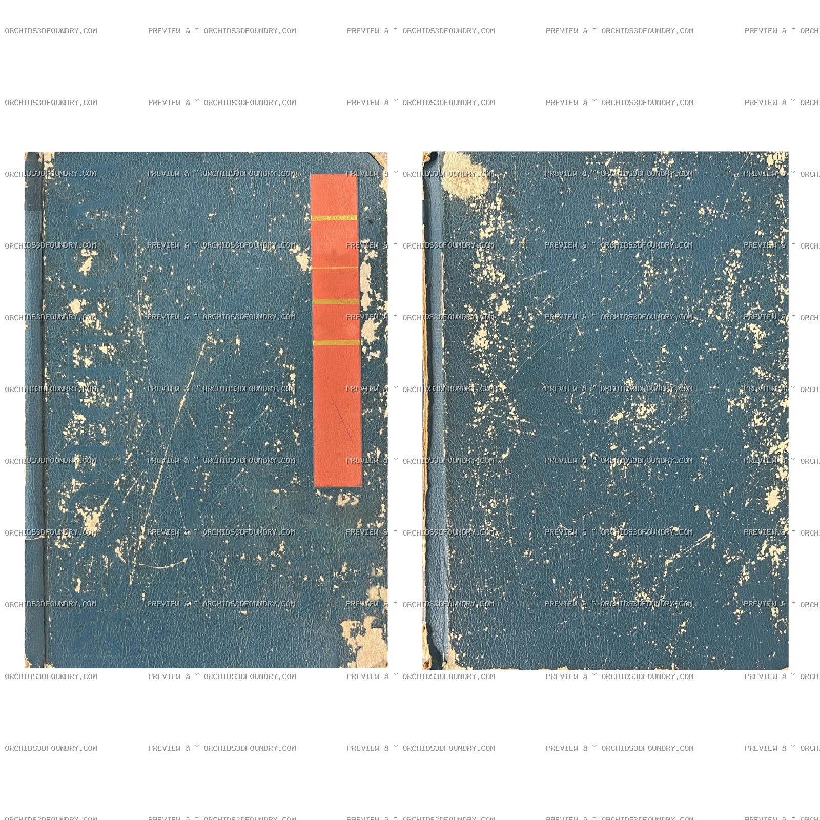 Old Blue Book 1